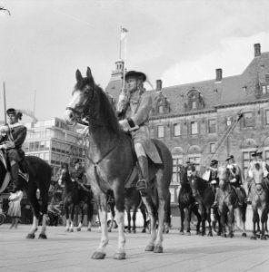 Coolsingel van Rotterdam, een delegatie uit Berkel-Rodenr te paard om de gemeent, Bestanddeelnr 915-2375