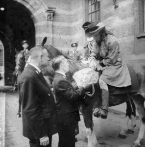 Coolsingel van Rotterdam, een delegatie uit Berkel-Rodenr te paard om de gemeent, Bestanddeelnr 915-2379