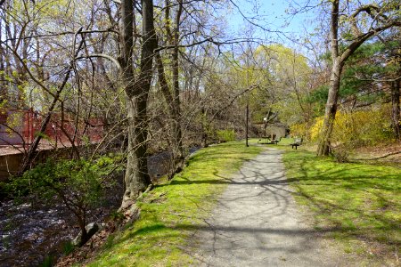 Cooke's Hollow - Arlington, MA - DSC00921