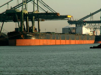 Constance N IMO 8210211 Mississippi harbour, Port of Rotterdam, Holland 24-Jan-2006