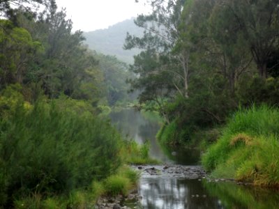 Coomera River at Clagiraba, Queensland photo