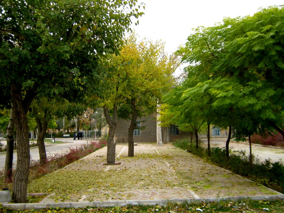 Deciduous - Autumn - Amin al-Islami Garden - Nishapur 2