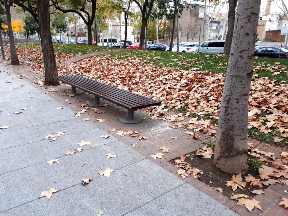 December leaves in Barcelona 2017 A