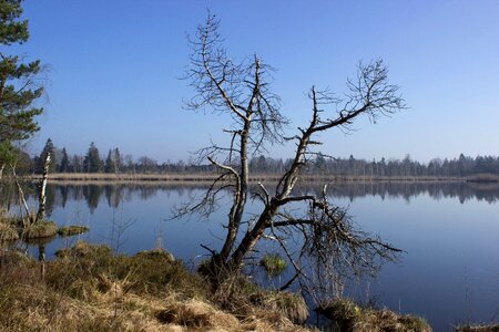 Waters nature reserve marsh