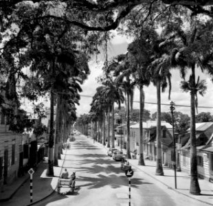 De Zwartenhovenbrugstraat in Paramaribo, Bestanddeelnr 252-4935