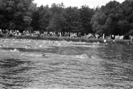 Deelnemers in actie, Bestanddeelnr 924-6449