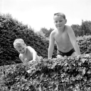 De zoontjes Kreisselmeier op de rand van een zwembad, Bestanddeelnr 254-5026
