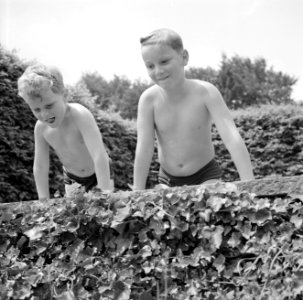 De zoontjes Kreisselmeier op de rand van een zwembad, Bestanddeelnr 254-5027