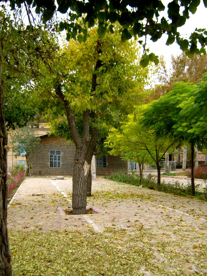 Deciduous - Autumn - Amin al-Islami Garden - Nishapur 4