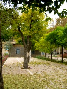 Deciduous - Autumn - Amin al-Islami Garden - Nishapur 4