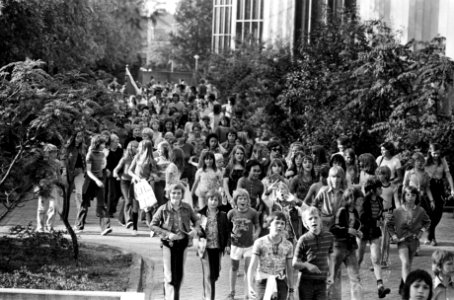 Deelnemers aan de Avondvierdaagse, Bestanddeelnr 927-9808