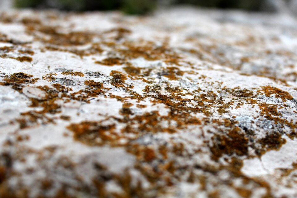 Weave close up white