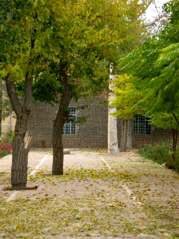 Deciduous - Autumn - Amin al-Islami Garden - Nishapur 1
