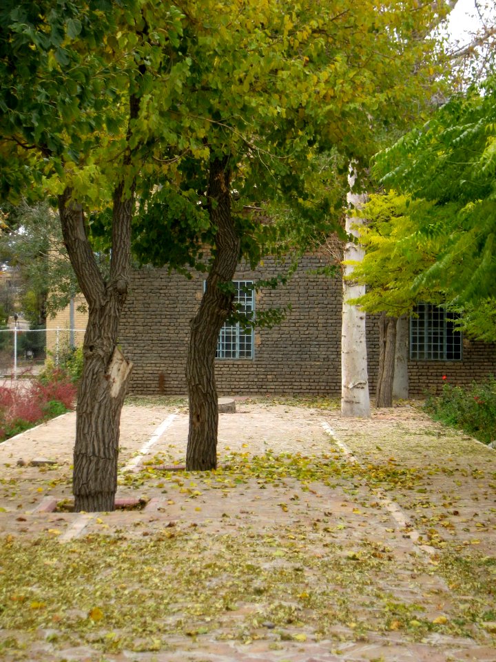 Deciduous - Autumn - Amin al-Islami Garden - Nishapur 3