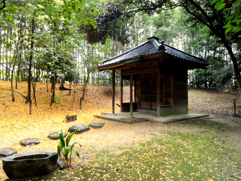 December view - Korakuen (Okayama) - DSC01650