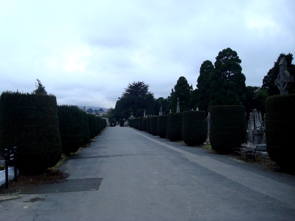 Dean's Grange Cemetery Main Walkway