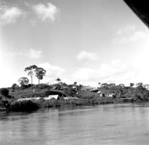 De voormalige Jodensavanna aan de Surinamerivier in Suriname, Bestanddeelnr 252-6452