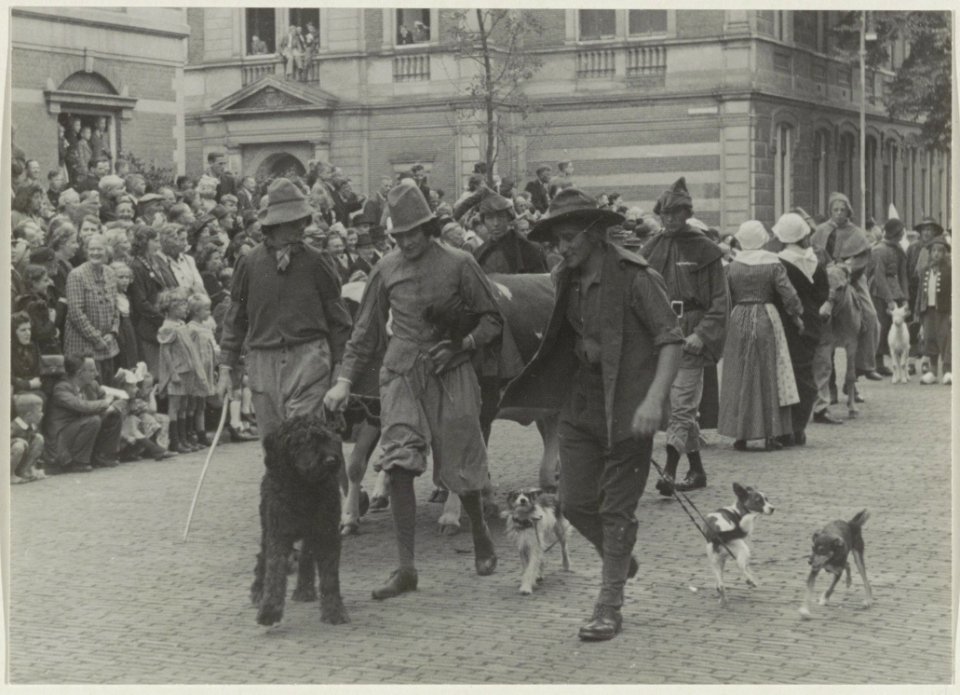 Deelnemers aan de Historisch-Allegorische optocht t.g.v. het 700-jarig bestaan van Haarlem als boeren met honden als vee in de Wilhelminatraat. NL-HlmNHA 54011110