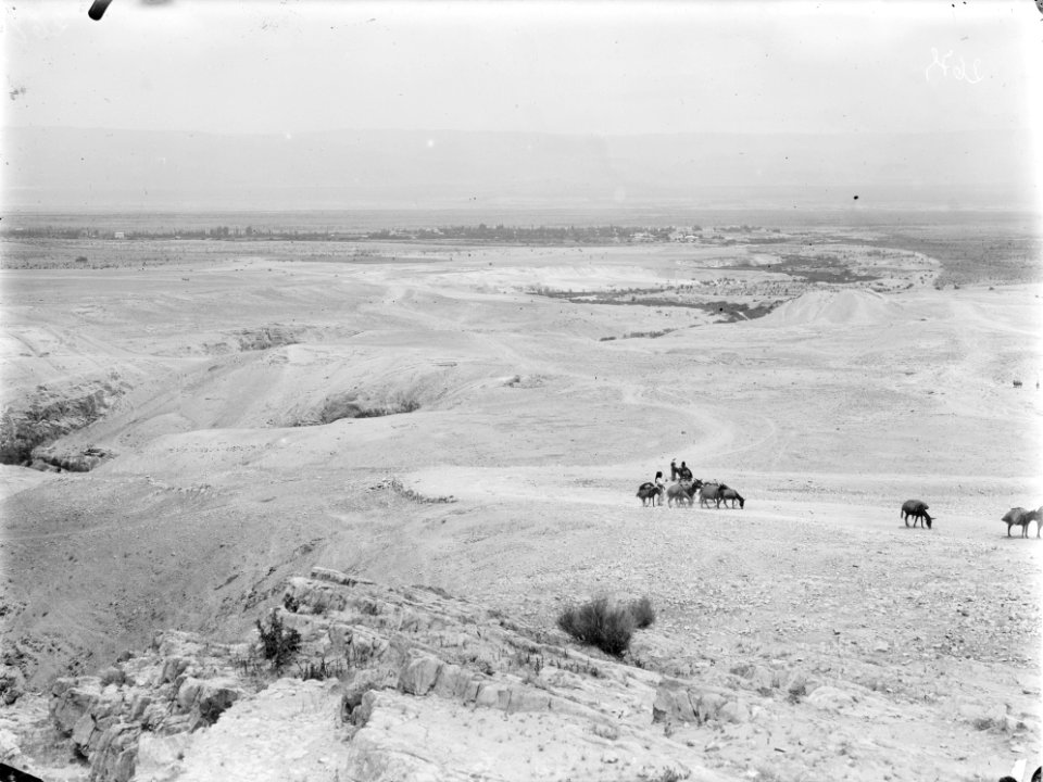 De vlakte van de Jordaan nabij de monding van de Wadi al Kelt, Bestanddeelnr 254-6131