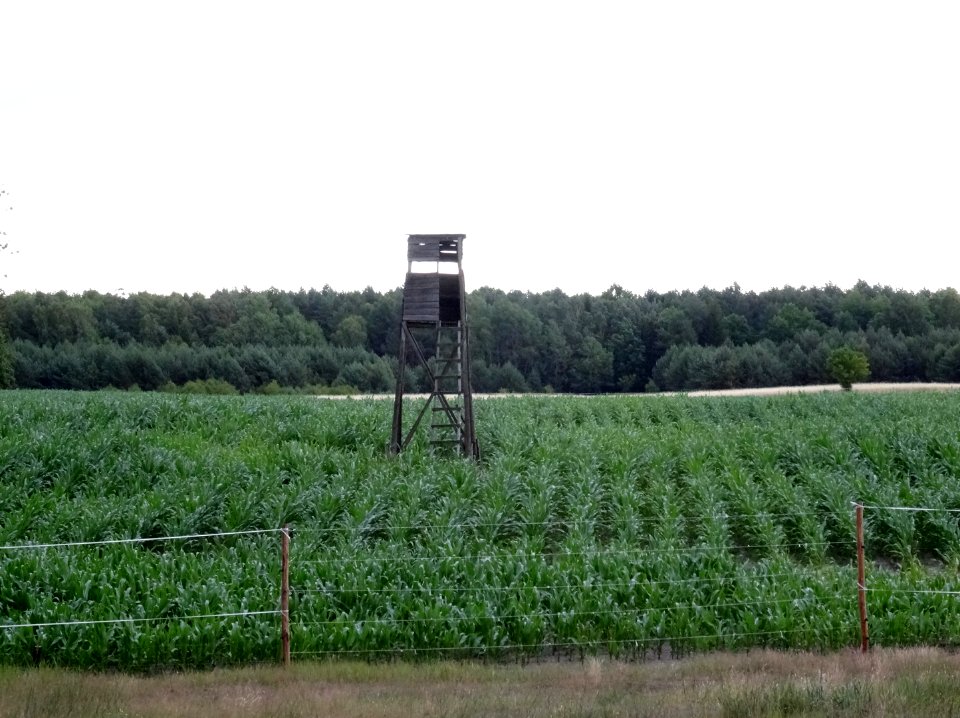 Debinka 2 7-2015