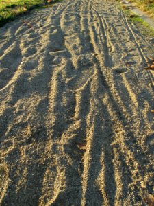 Decomposed granite path