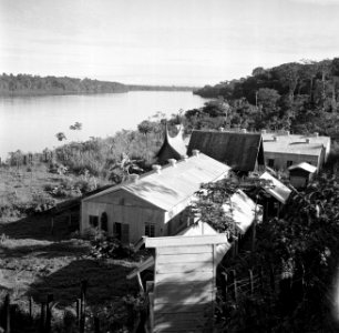 De voormalige Jodensavanna aan de Surinamerivier in Suriname, Bestanddeelnr 252-6453