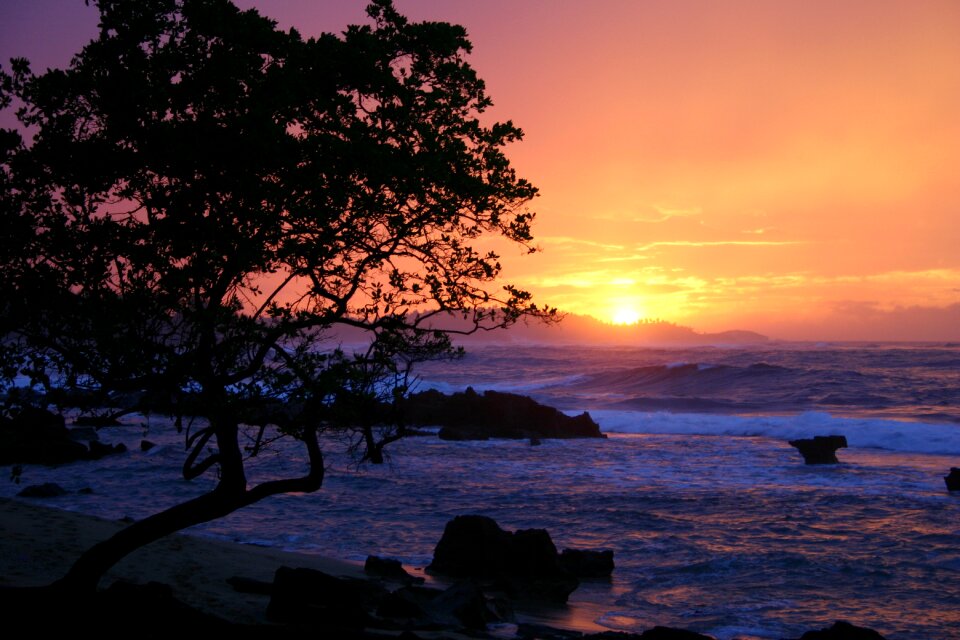 Ocean rocks landscape