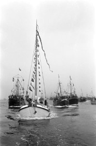 De vloot vaart uit de haven van Yerseke. De Groene Draeck voorop, Bestanddeelnr 920-4851