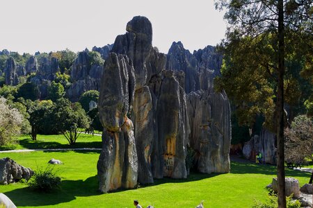 Stone forest landscape figure