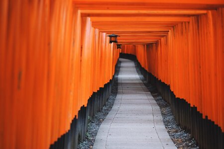 Covered covered path depth