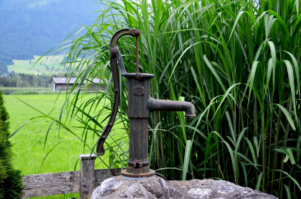 Reed drinking water cock pump