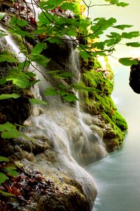 Nature landscape river