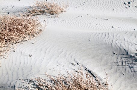 Sand dunes dunes ripples photo