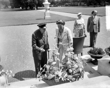 Defilé door Ouderen van Dagen voor koningin Juliana, bijdrage uit Capelle aan de, Bestanddeelnr 910-4896