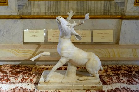 Deer, Roman, 2nd century AD, marble - Galleria Borghese - Rome, Italy - DSC04692