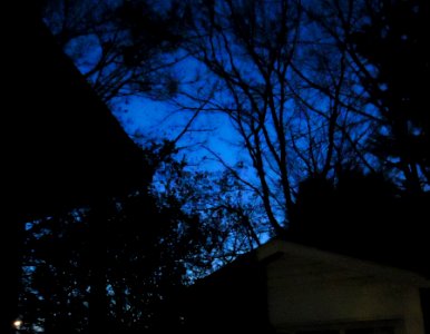Deep blue sky in twilight with trees and garage photo