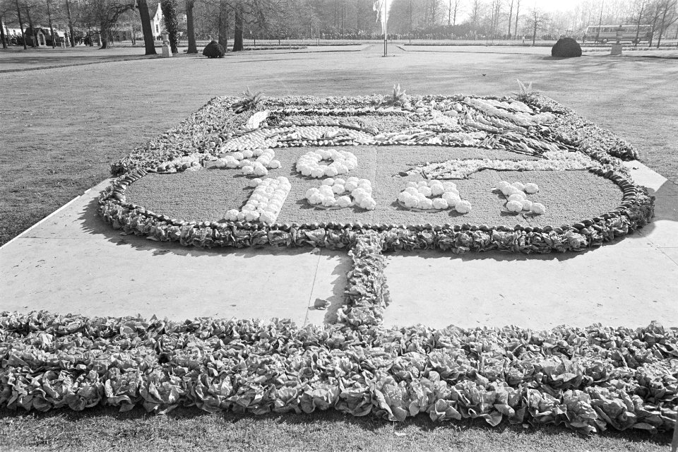 Defile Soestdijk gebeuren in Paleistuin, Bestanddeelnr 929-1560