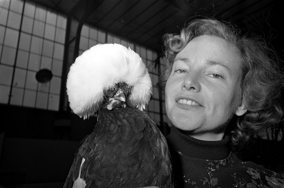Deelneemster toont een zwarte Witkuifkip, Bestanddeelnr 919-7958