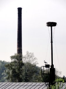 Deest (Druten) monumentenwacht bij Rijksmonument 523809 schoorsteen steenoven Vogelsangh