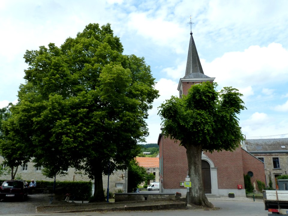 Deigné-tilleul devant l'église (3)