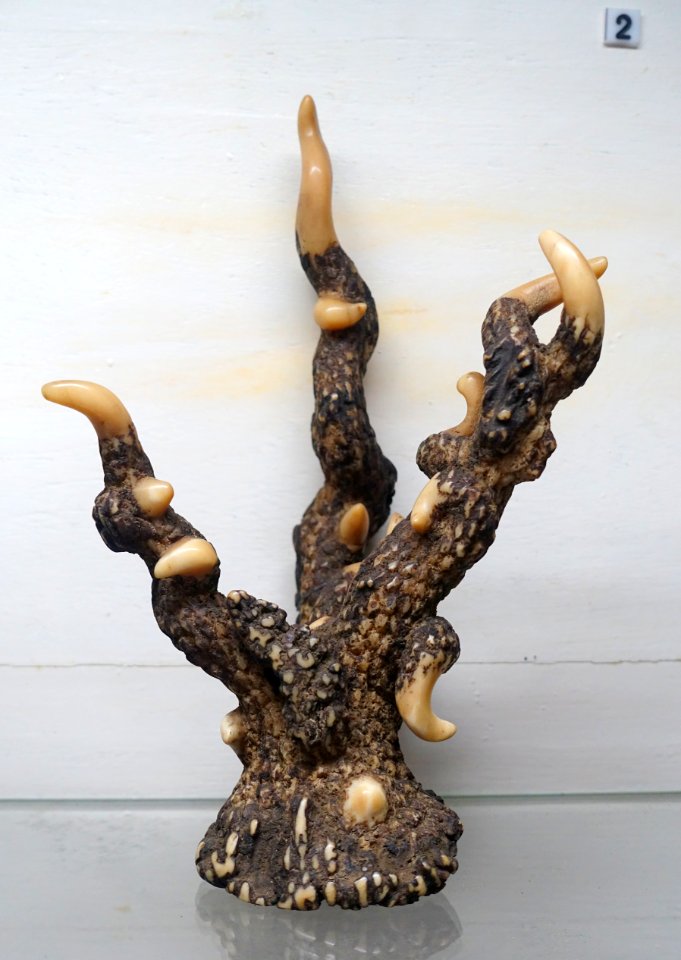 Deer's antler handicraft, 19th to mid 20th century - Museum of Vietnamese History - Ho Chi Minh City - DSC05826