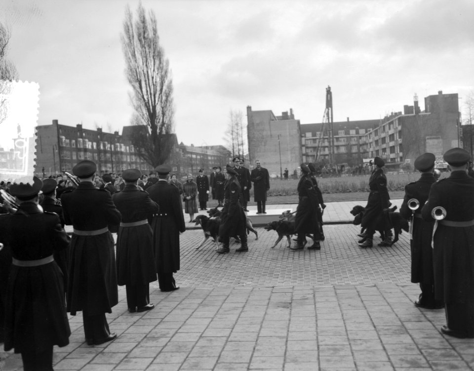 Defile voor burgemeester Van Hall door politie, Bestanddeelnr 908-3305