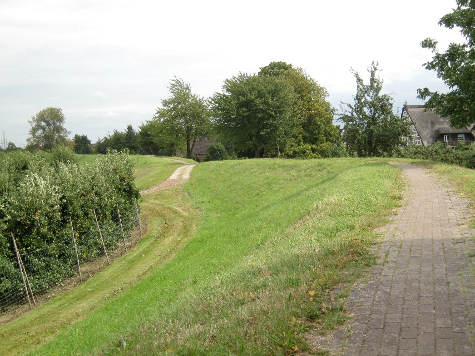 Deich in Francop
