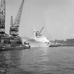 Deense bananenboot Vragoer Mausk in aanvaring met Italiaanse tanker Markgure, Bestanddeelnr 913-8070