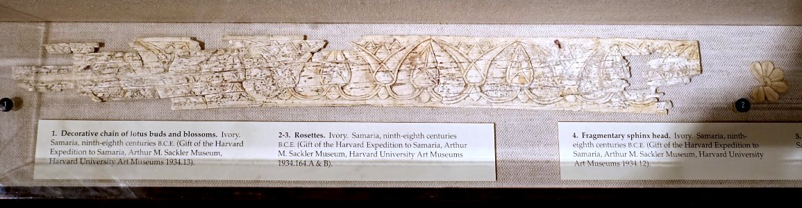Decorative chain of lotus buds and blossoms, Samaria, 9th-8th century BC, ivory - Harvard Semitic Museum - Cambridge, MA - DSC06034