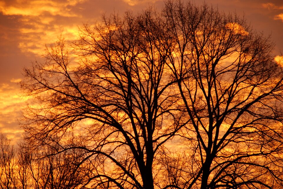 Twilight silhouette evening