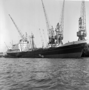 De Poeldijk in haven Rotterdam (opdracht Holland Amerika lijn ), Bestanddeelnr 917-4113