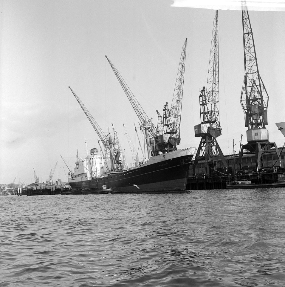 De Poeldijk in haven Rotterdam (opdracht Holland Amerika lijn ), Bestanddeelnr 917-4114