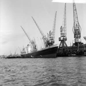 De Poeldijk in haven Rotterdam (opdracht Holland Amerika lijn ), Bestanddeelnr 917-4114