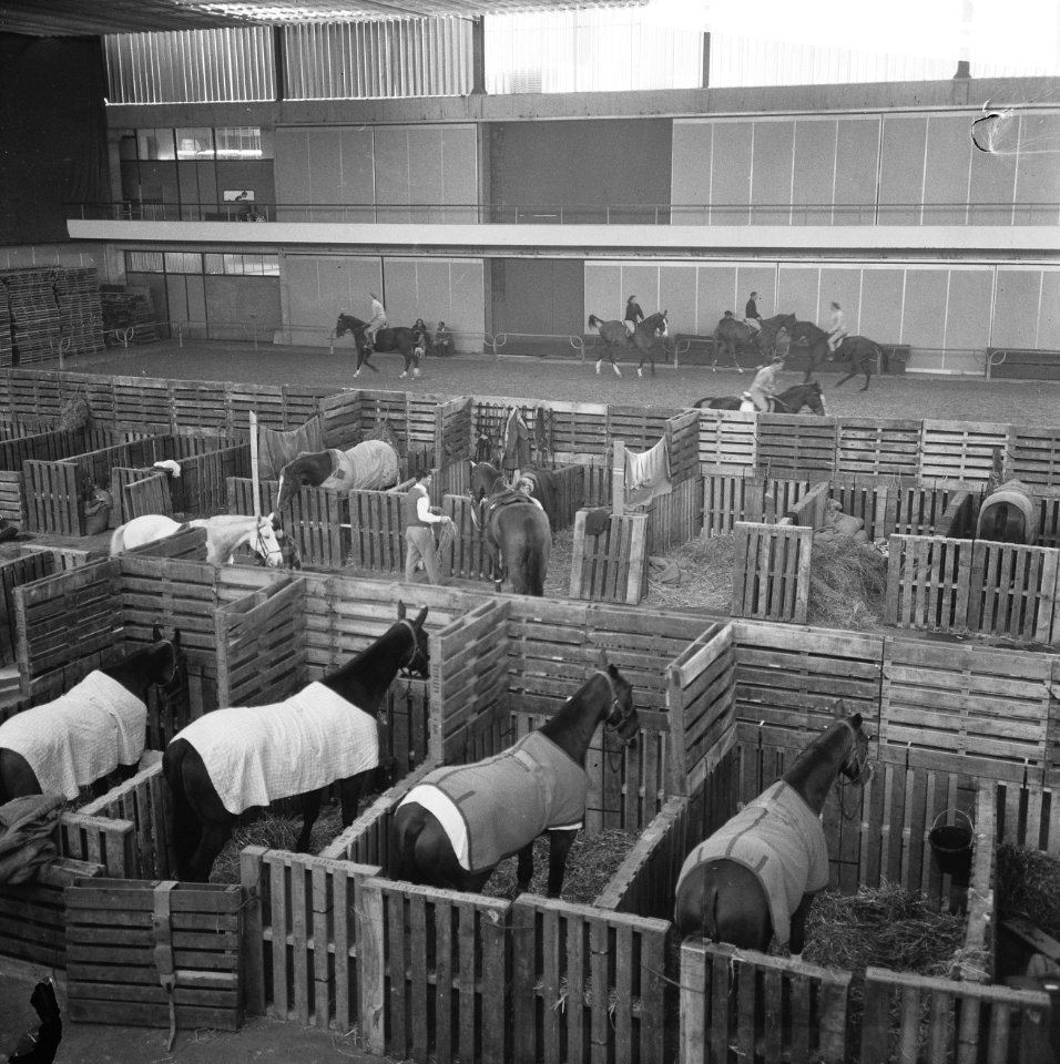 De paarden in de stallen, Bestanddeelnr 918-3454